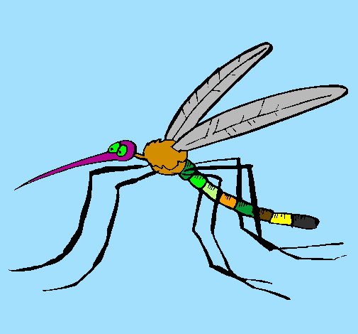 Desenho Mosquito pintado por kaiky