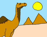 Desenho Camelo pintado por rafael