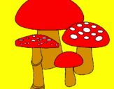 Desenho Cogumelos pintado por raissa