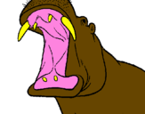 Desenho Hipopótamo com a boca aberta pintado por rennan