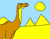 Desenho Camelo pintado por anónimo