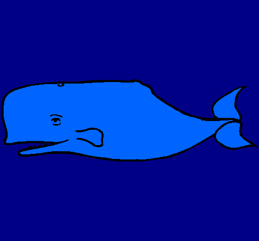 Desenho Baleia azul pintado por joão pedro