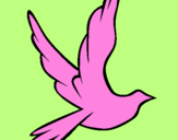 Desenho Pomba da paz a voar pintado por Mimim