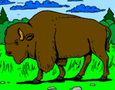 Desenho Búfalo pintado por weslly