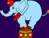 Desenho Elefante em cima de uma bola pintado por douglas