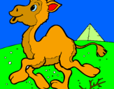 Desenho Camelo pintado por gutavo