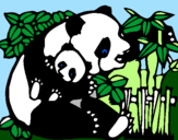 Desenho Mamã panda pintado por FEMEA CABRA MACHO
