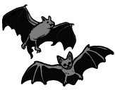 Desenho Um par de morcegos pintado por gabriel colegio presidend