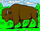 Desenho Búfalo pintado por jake
