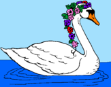 Desenho Cisne com flores pintado por line