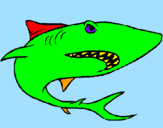 Desenho Tubarão pintado por felipe gabriel