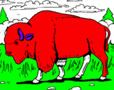Desenho Búfalo pintado por Margarida