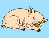 Desenho Porco a dormir pintado por Smurf