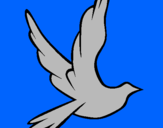 Desenho Pomba da paz a voar pintado por bi