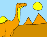 Desenho Camelo pintado por sophia