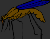 Desenho Mosquito pintado por rennan