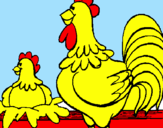 Desenho Galo e galinha pintado por julio