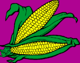 Desenho Espiga de milho  pintado por Elba
