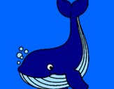 Desenho Pequena baleia pintado por rafael