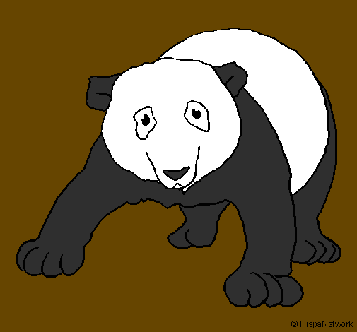 Desenho Urso panda pintado por Brenda S.T.O