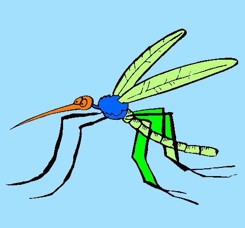 Desenho Mosquito pintado por felipe