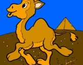 Desenho Camelo pintado por nathali