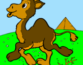 Desenho Camelo pintado por BIBI.
