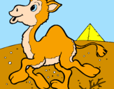 Desenho Camelo pintado por lara 10
