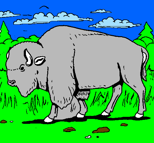 Desenho Búfalo pintado por luk