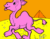 Desenho Camelo pintado por Bia