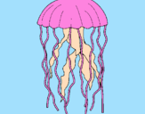 Desenho Medusa pintado por ester