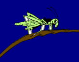 Desenho Saltamontes num ramo pintado por léo