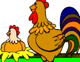 Desenho Galo e galinha pintado por galinhas