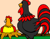 Desenho Galo e galinha pintado por Stefany