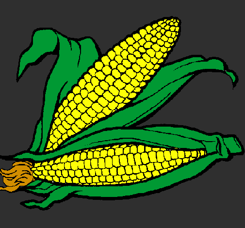 Desenho Espiga de milho  pintado por leticia