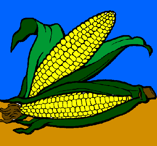 Desenho Espiga de milho  pintado por ester