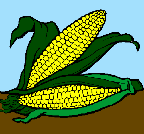 Desenho Espiga de milho  pintado por kayane