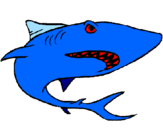 Desenho Tubarão pintado por ryan