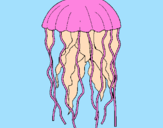 Desenho Medusa pintado por Dudah