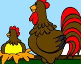 Desenho Galo e galinha pintado por jorge