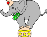 Desenho Elefante em cima de uma bola pintado por adriele
