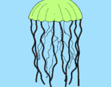 Desenho Medusa pintado por medusa
