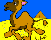Desenho Camelo pintado por gustavo