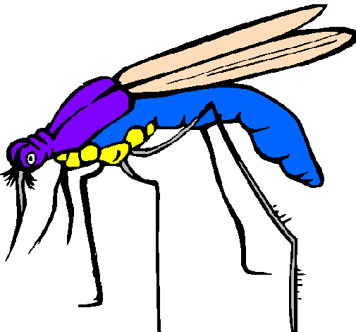Desenho Mosquito pintado por mosquito
