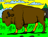 Desenho Búfalo pintado por Luis Felipe Paoli 5 anos