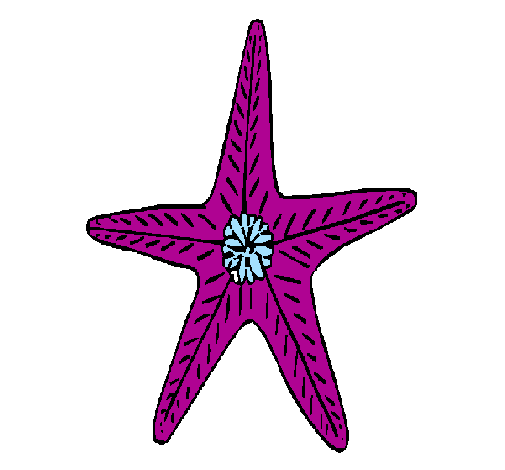 Desenho Estrela do mar pintado por livia