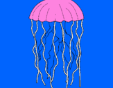 Desenho Medusa pintado por Pedro