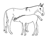 Desenho Cavalos pintado por Smurf