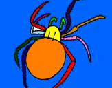 Desenho Aranha venenosa pintado por B u c e t a