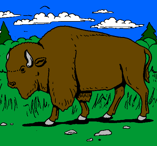 Desenho Búfalo pintado por BORBOREMA